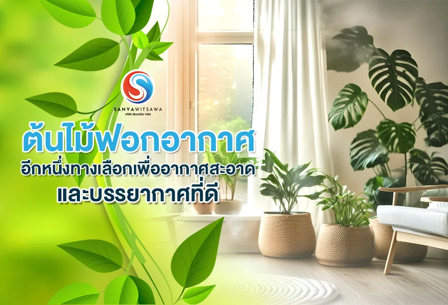 Air-Purifying Plants: Another Choice for Cleaner Air and a Better Atmosphere