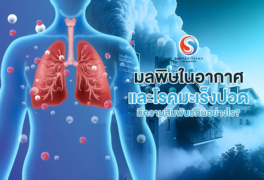How Are Lung Cancer and Air Pollution Related?