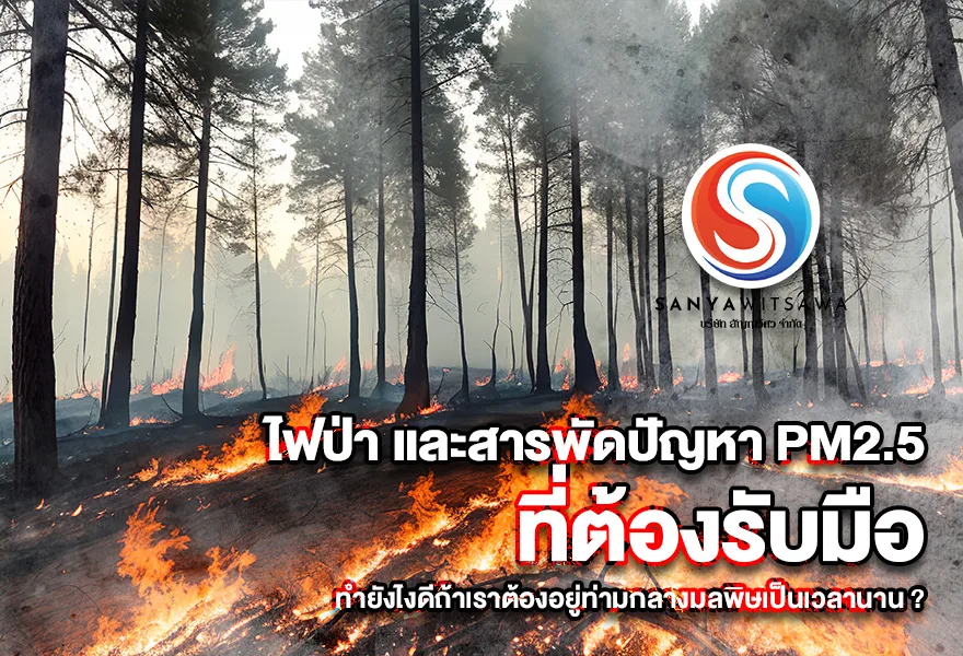 ไฟป่า และสารพัดปัญหา PM2.5 ที่ต้องรับมือ ทำยังไงดีถ้าเราต้องอยู่ท่ามกลางมลพิษเป็นเวลานาน ?
