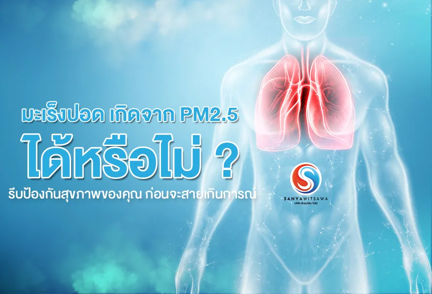 Can PM2.5 Cause Lung Cancer? Protect Your Health Before It's Too Late