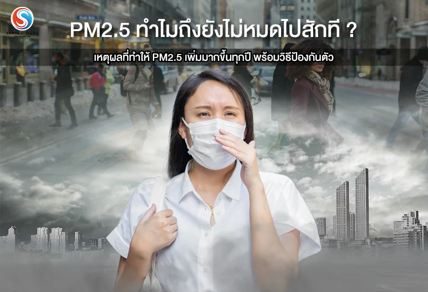ทำไมถึงยังไม่หมดไปสักที ? เหตุผลที่ทำให้ PM2.5 เพิ่มมากขึ้นทุกปี พร้อมวิธีป้องกันตัว