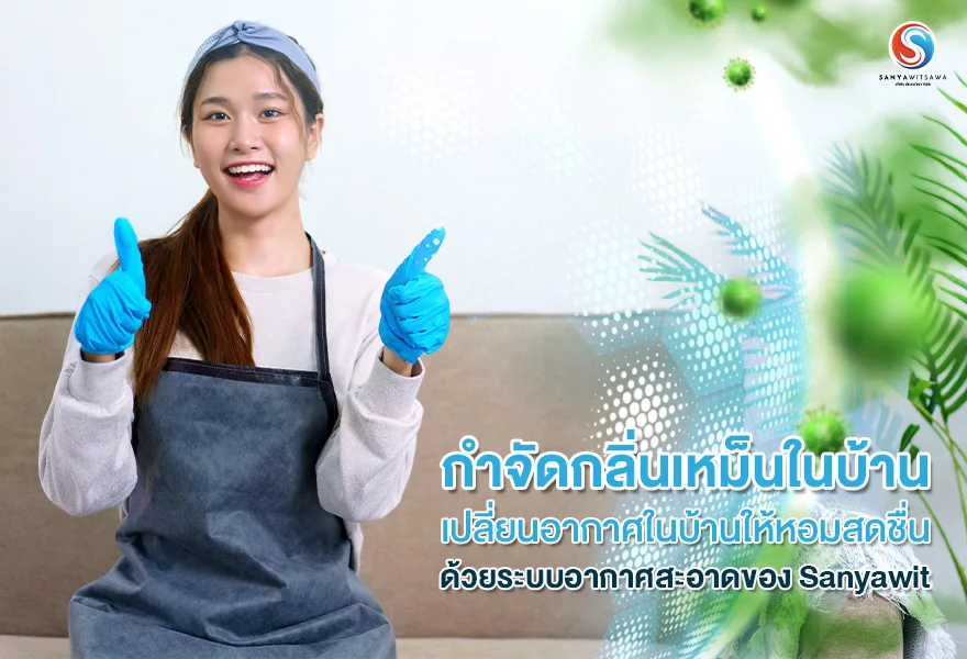 Eliminate Bad Smells in the Home: Fresh Air with Sanyawit's Clean-Air System